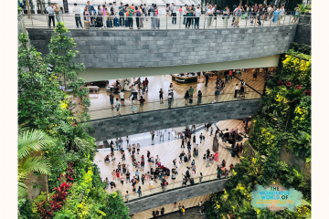 allied-health-newsletter-lifestyles-of-community‐living-adults-in-sg