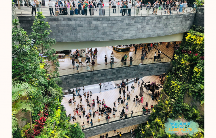 allied-health-newsletter-lifestyles-of-community‐living-adults-in-sg