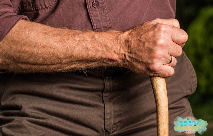 allied-health-newsletter-falls-prevention-program